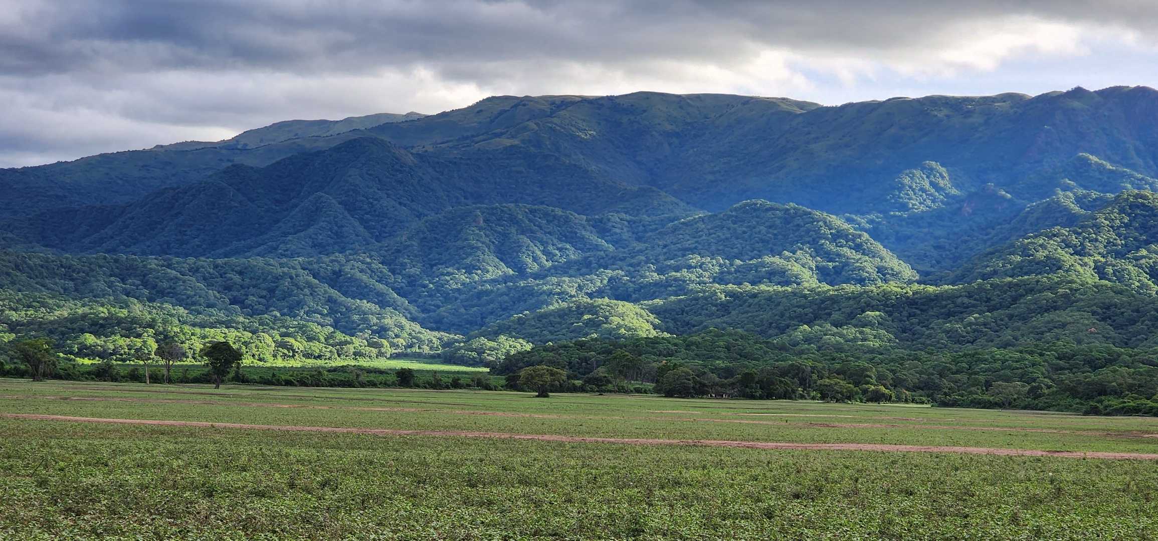 Largo adiós al verano