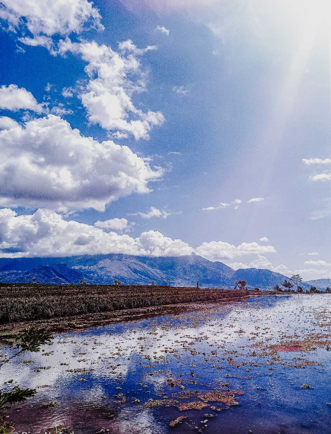 light of my village