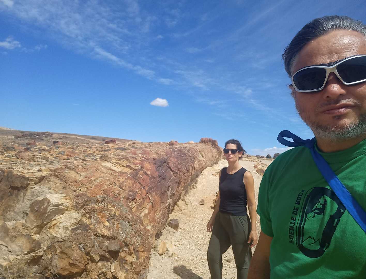 Parque Nacional Bosque Petrificado de Jaramillo