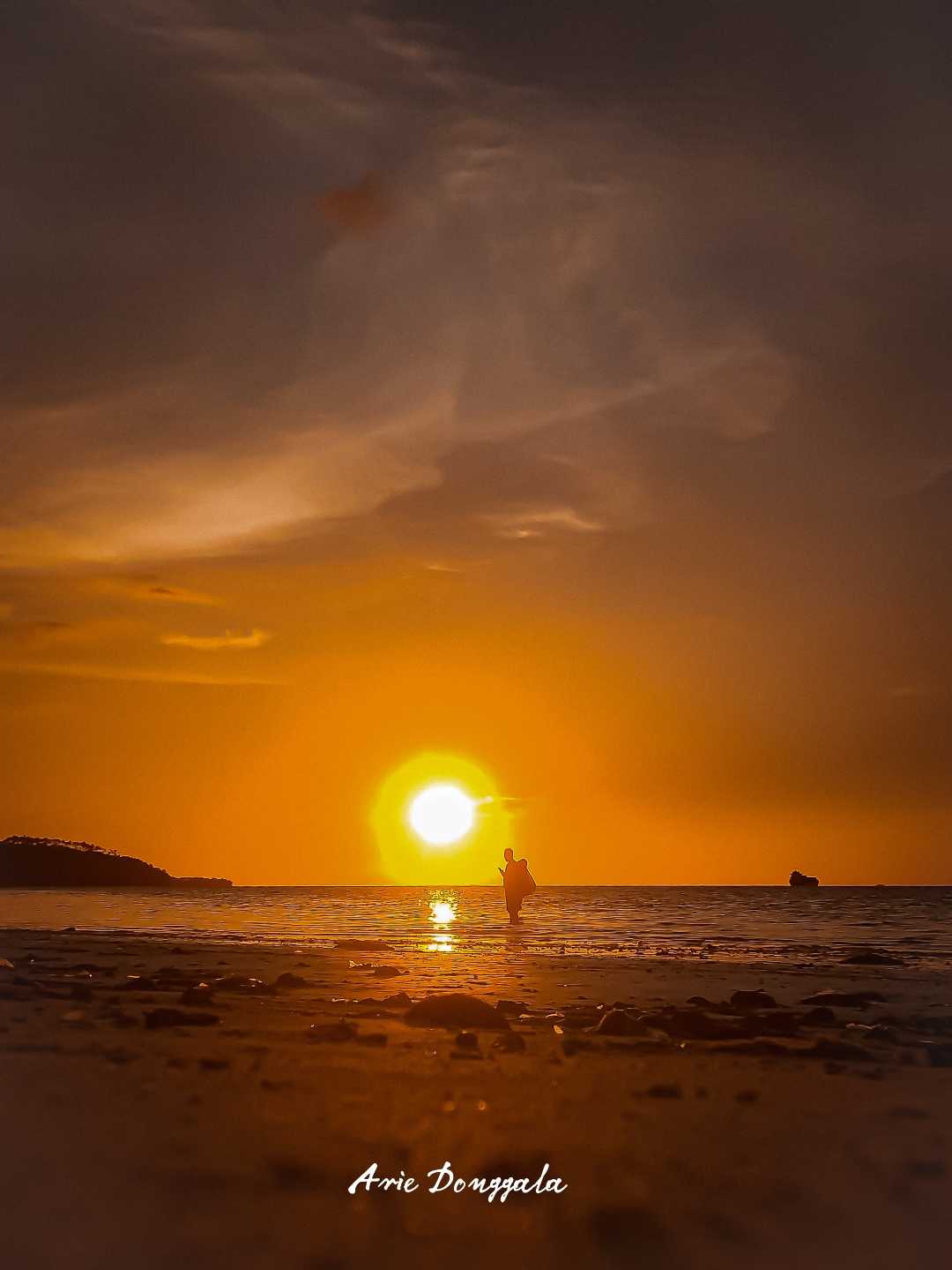 Senja