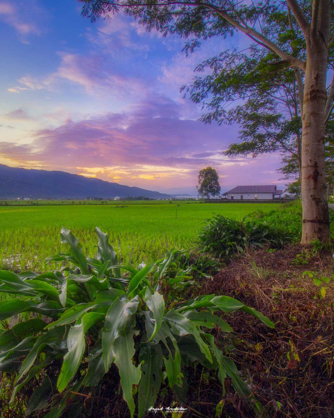 sunrise