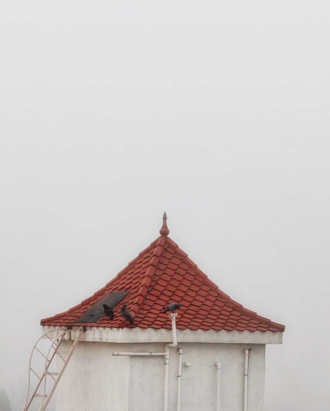 foggy morning