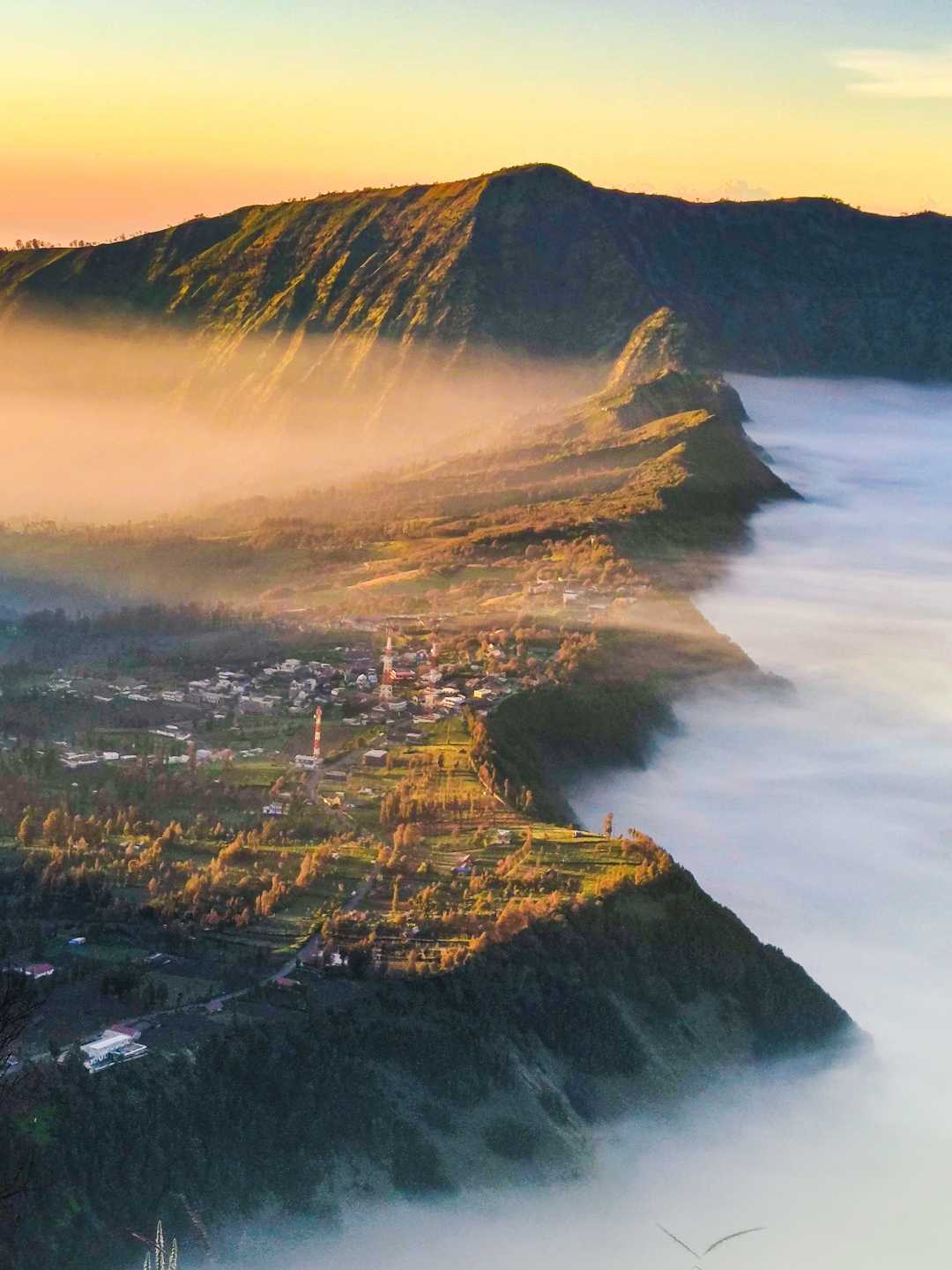 Morning Glory in Cemoro Lawang