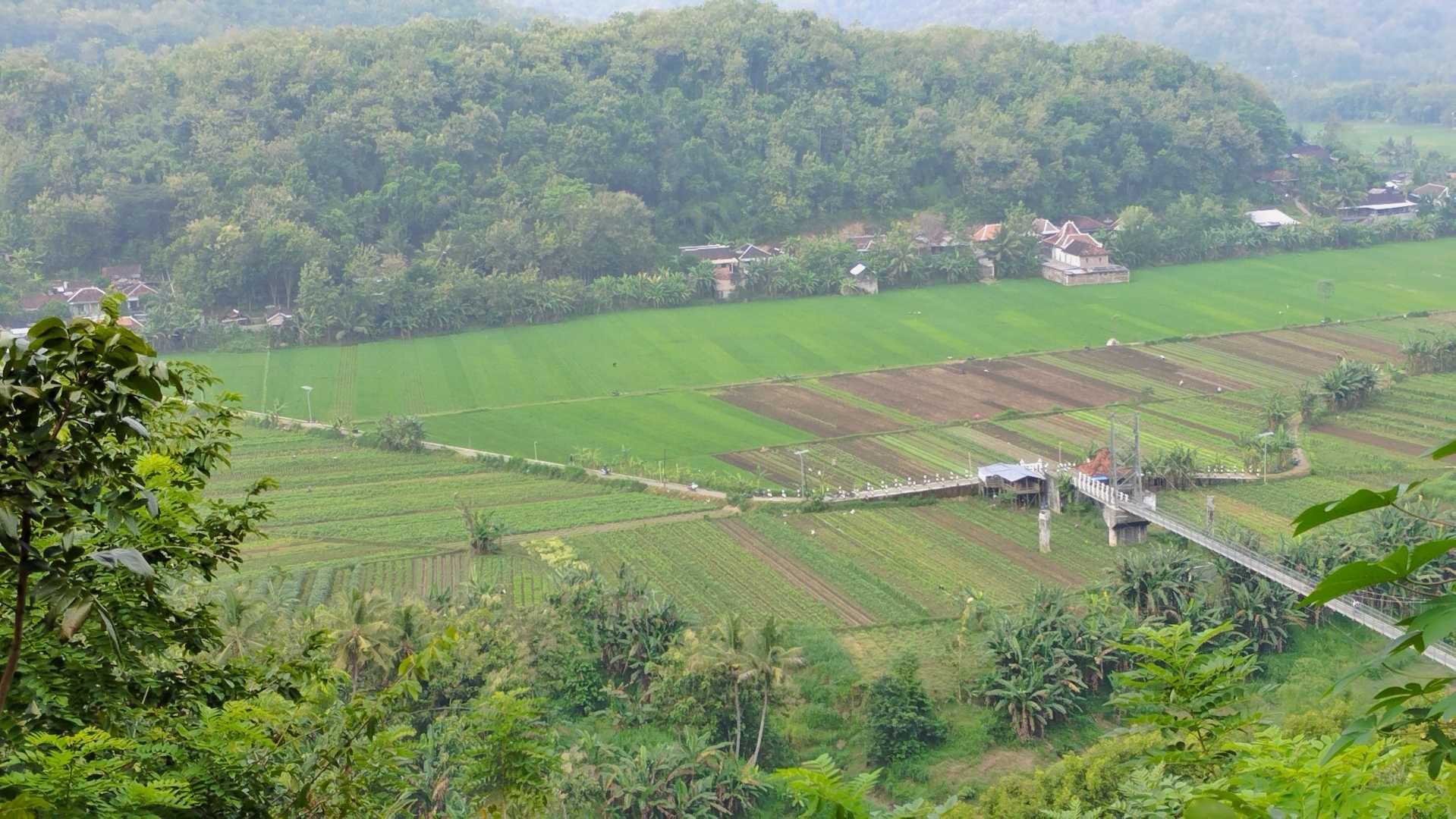 Bukit Platar , Imogiri 