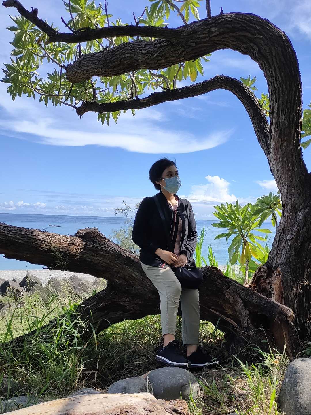 taitung🌳🌅🥀