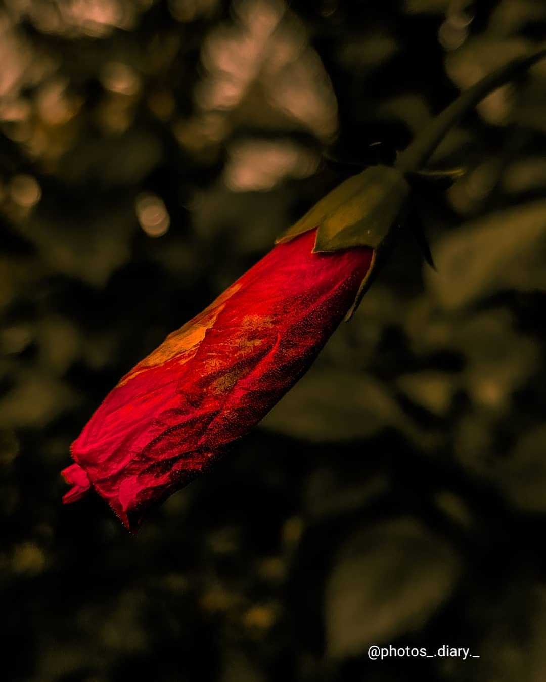 Beautiful Things