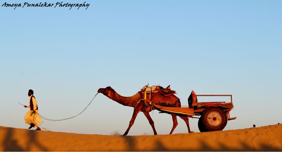 Desert Walk