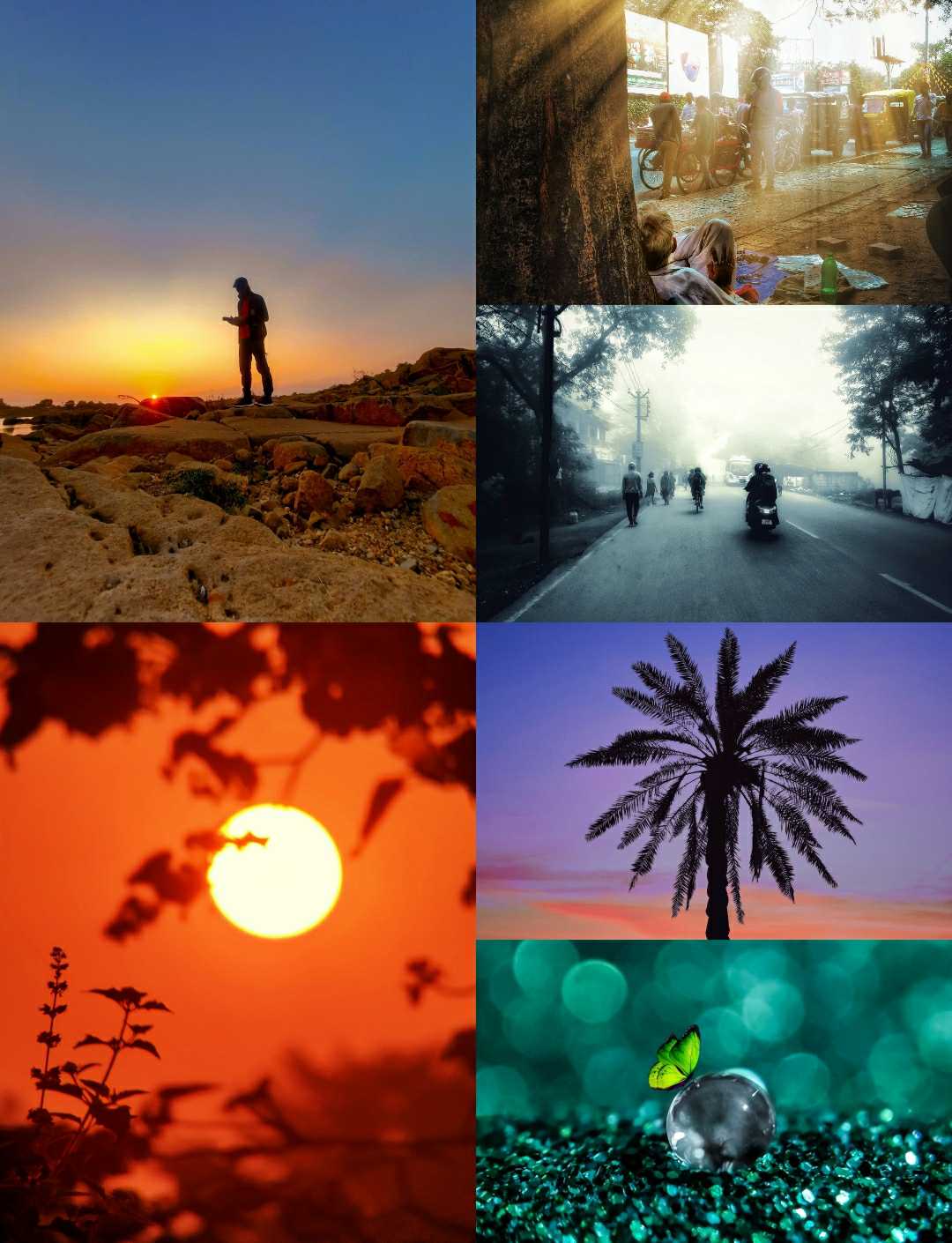Some nature shots🤍✨