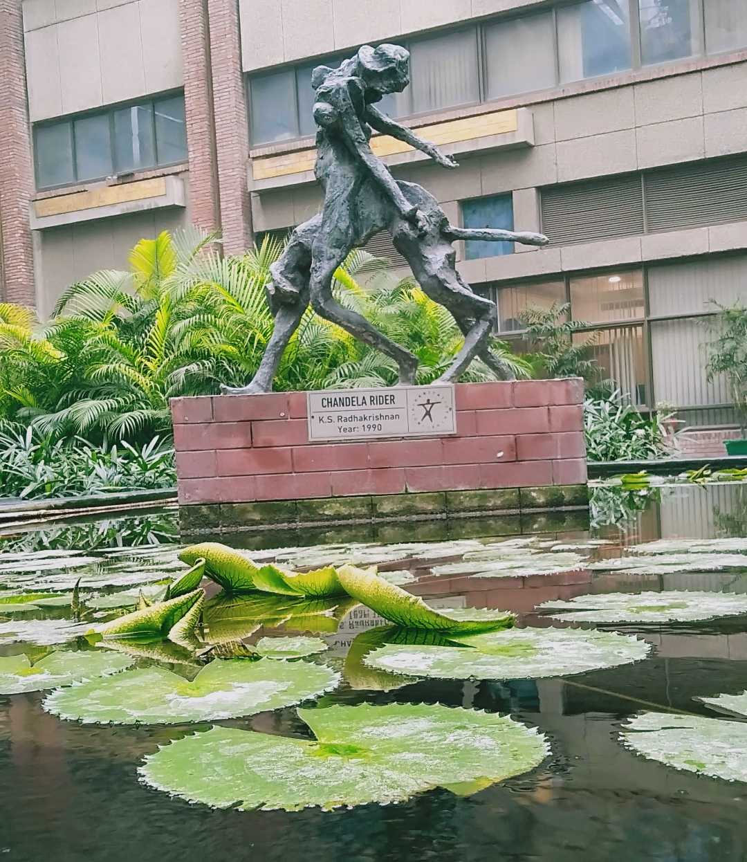 Chandela Rider