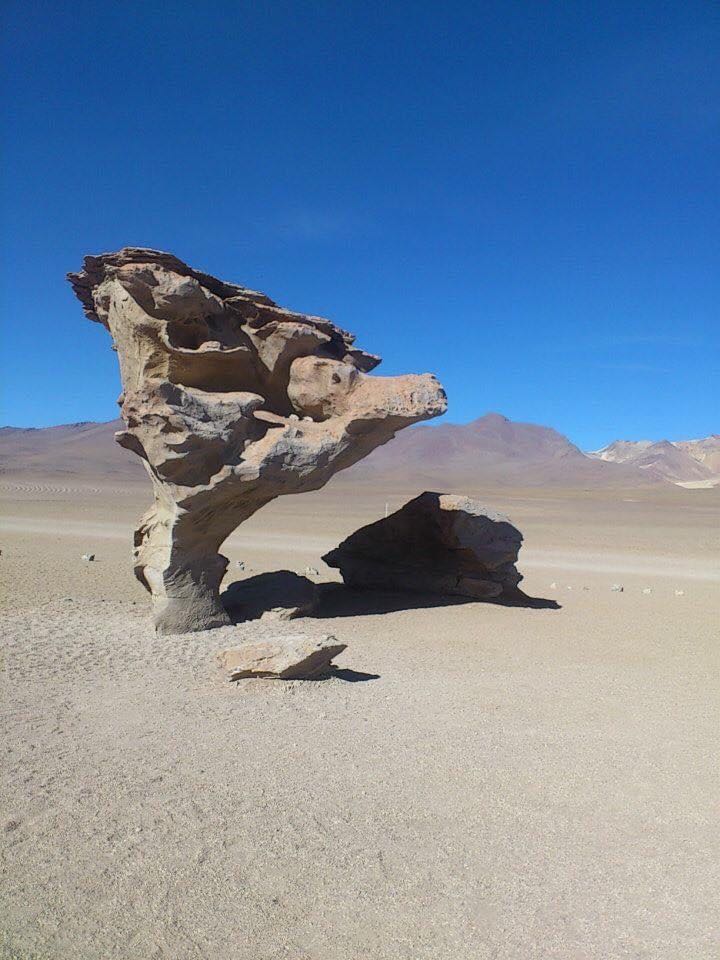 Arbol de piedra en el desierto de siloli 🙌🏻