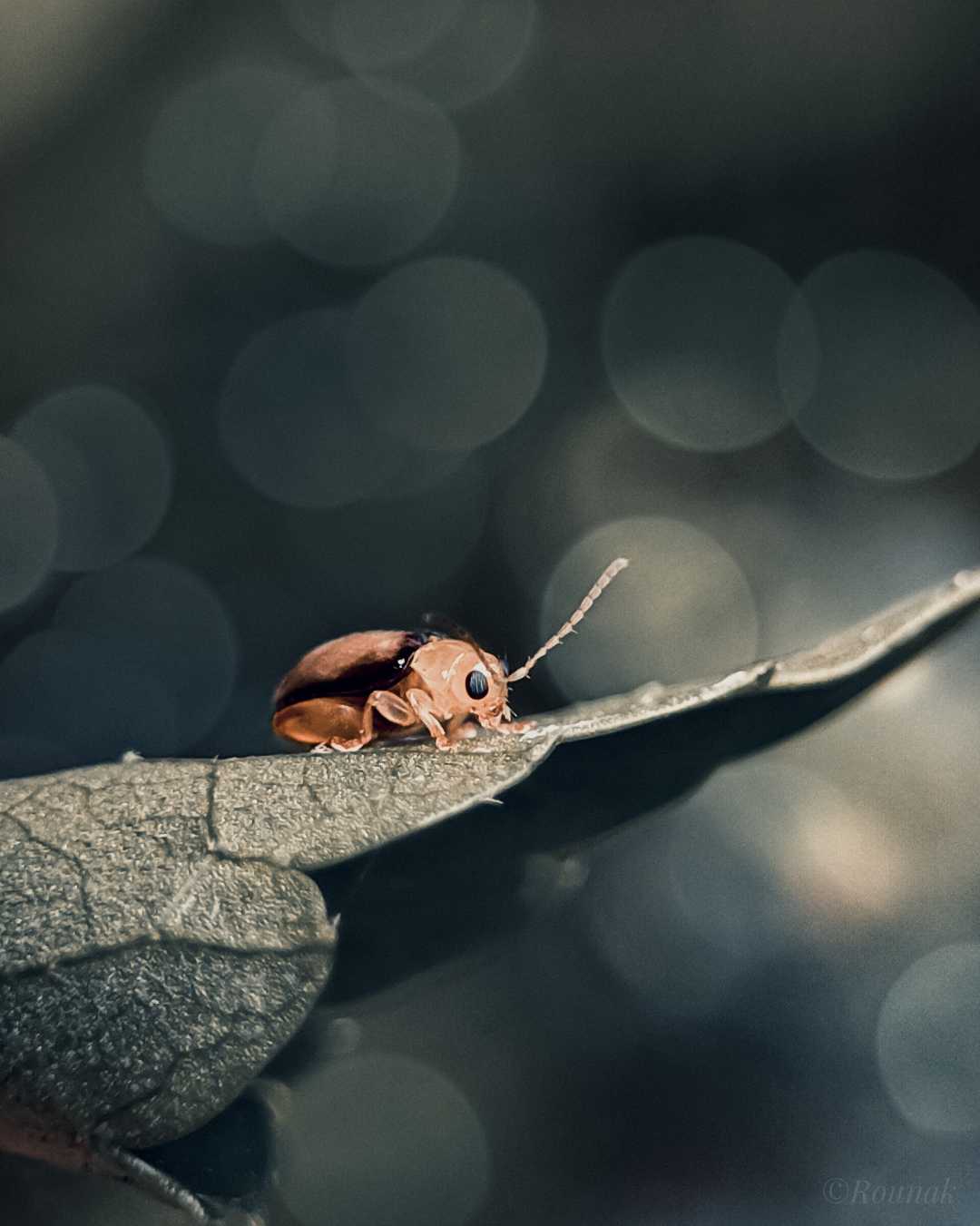 So smalll