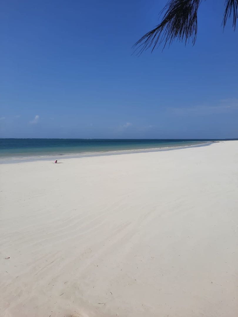 Diani beach 😎 