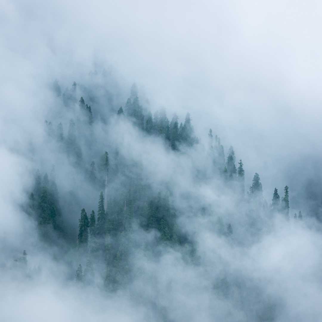 Foggy mood