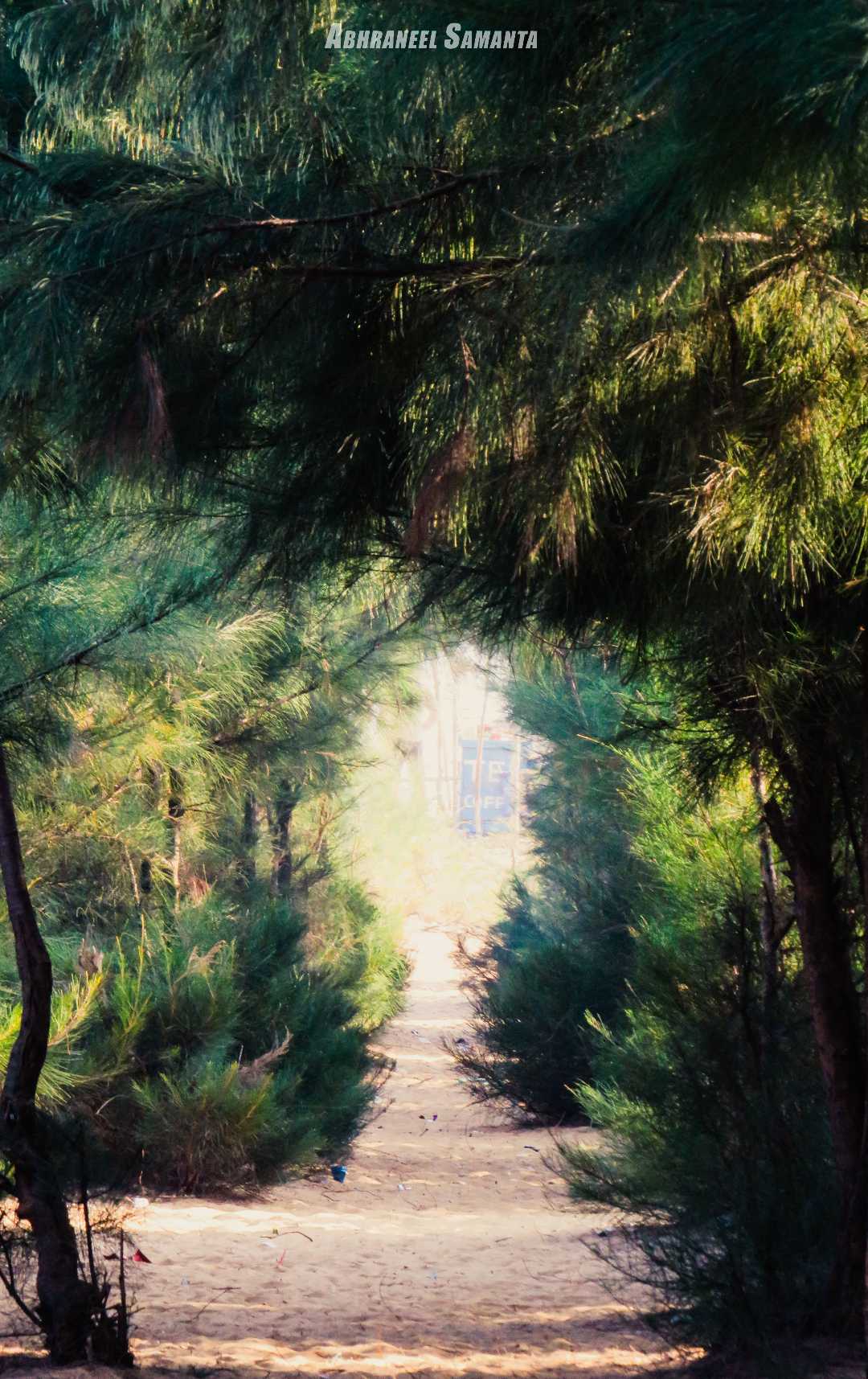 Surrounded by Green's 🍃