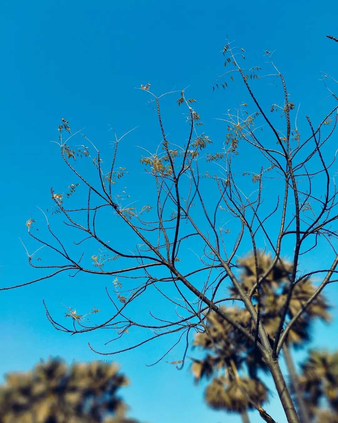 nature