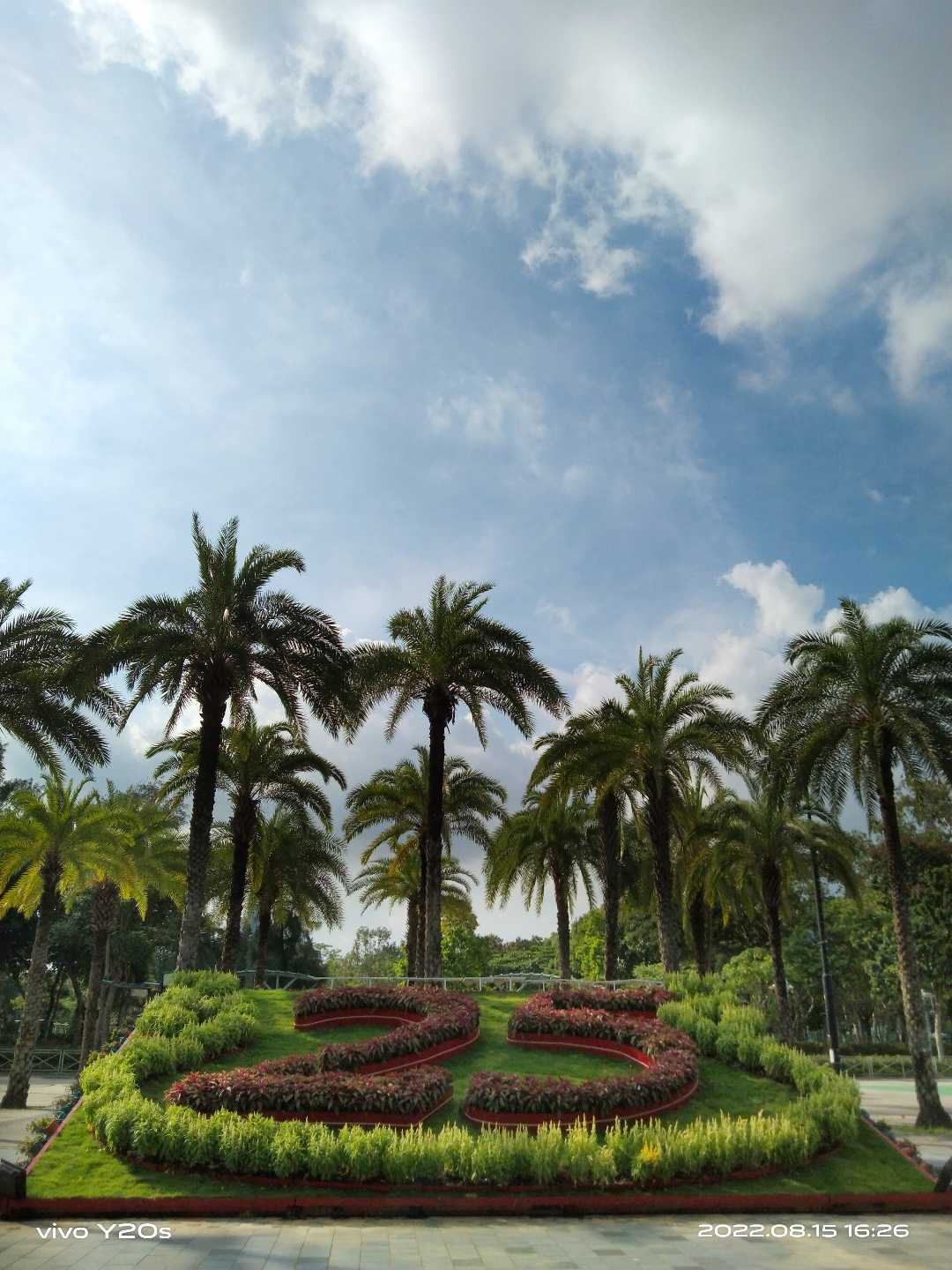 Victoria Park Flower Wall