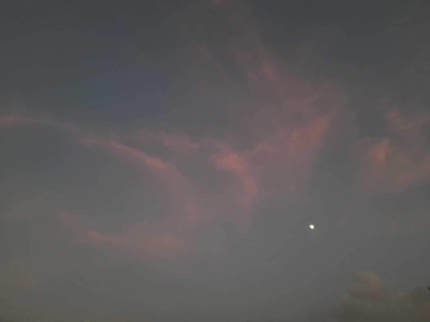 🌒🌓🌔🌕🌖🌗🌘