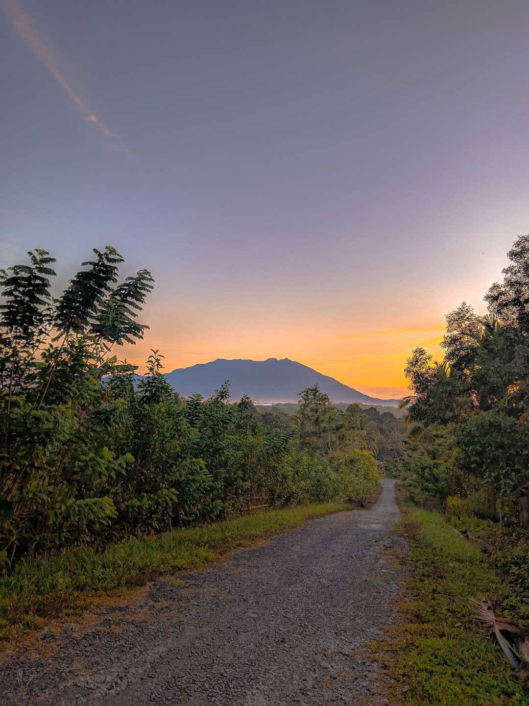 Sunrise
