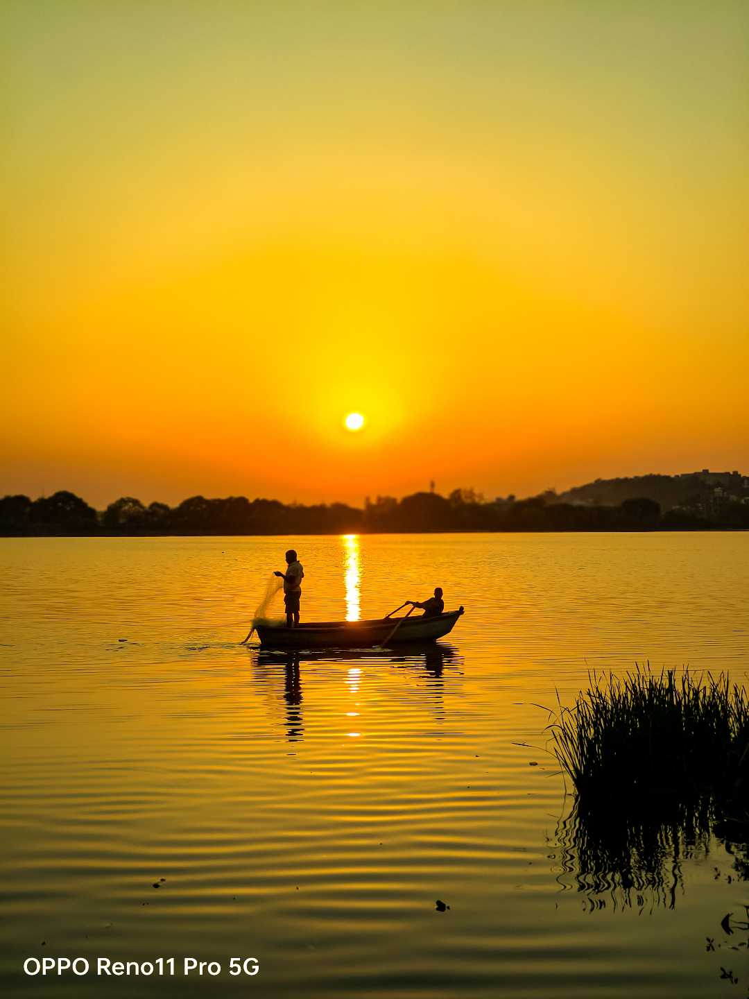 Sunset View