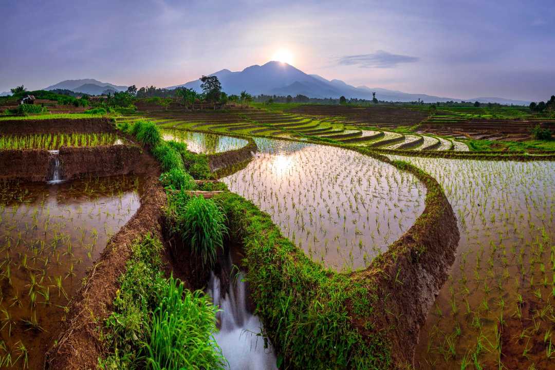 the beauty of the morning with beautiful terraces