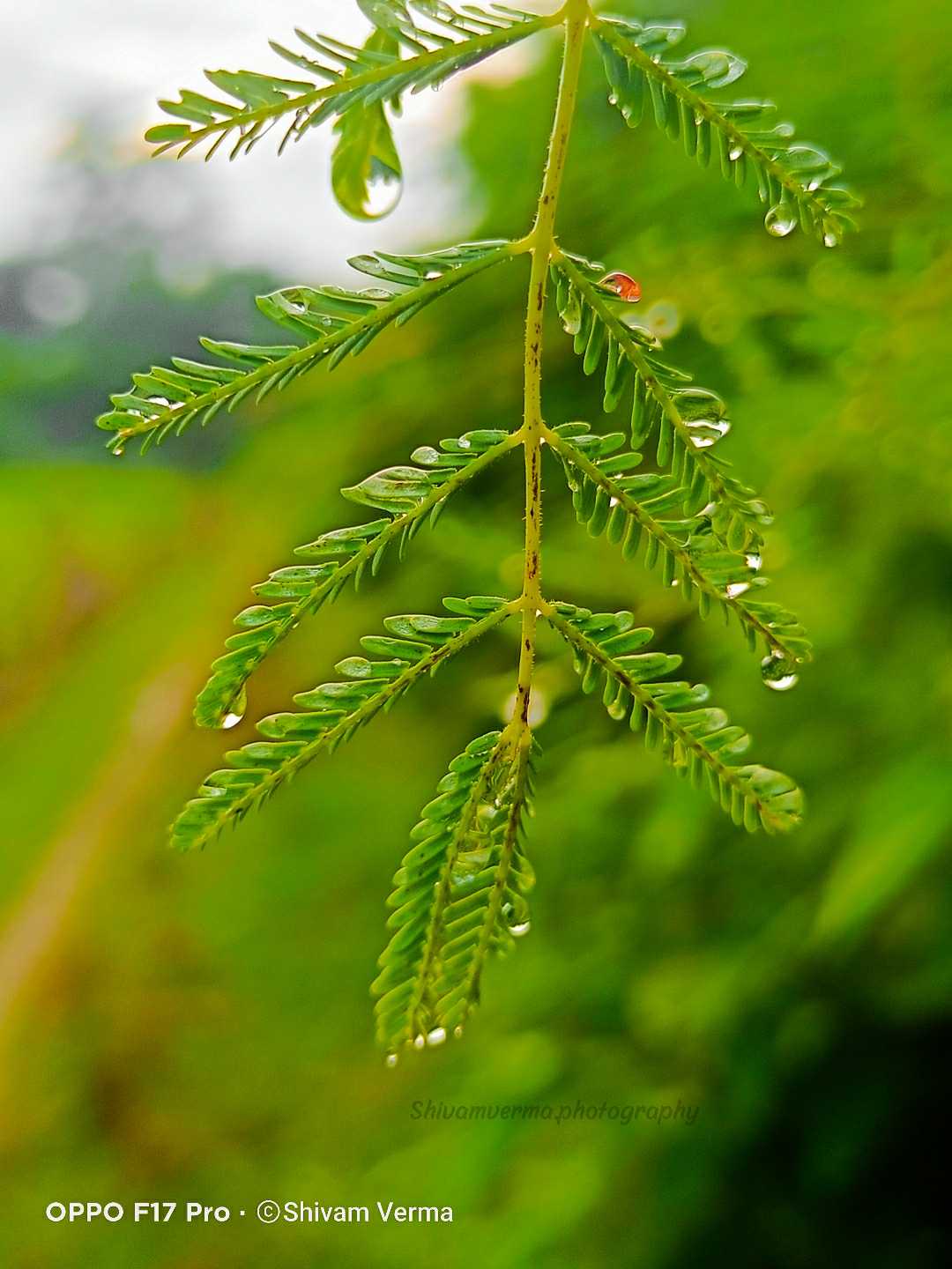 Beauty of Nature ❤️