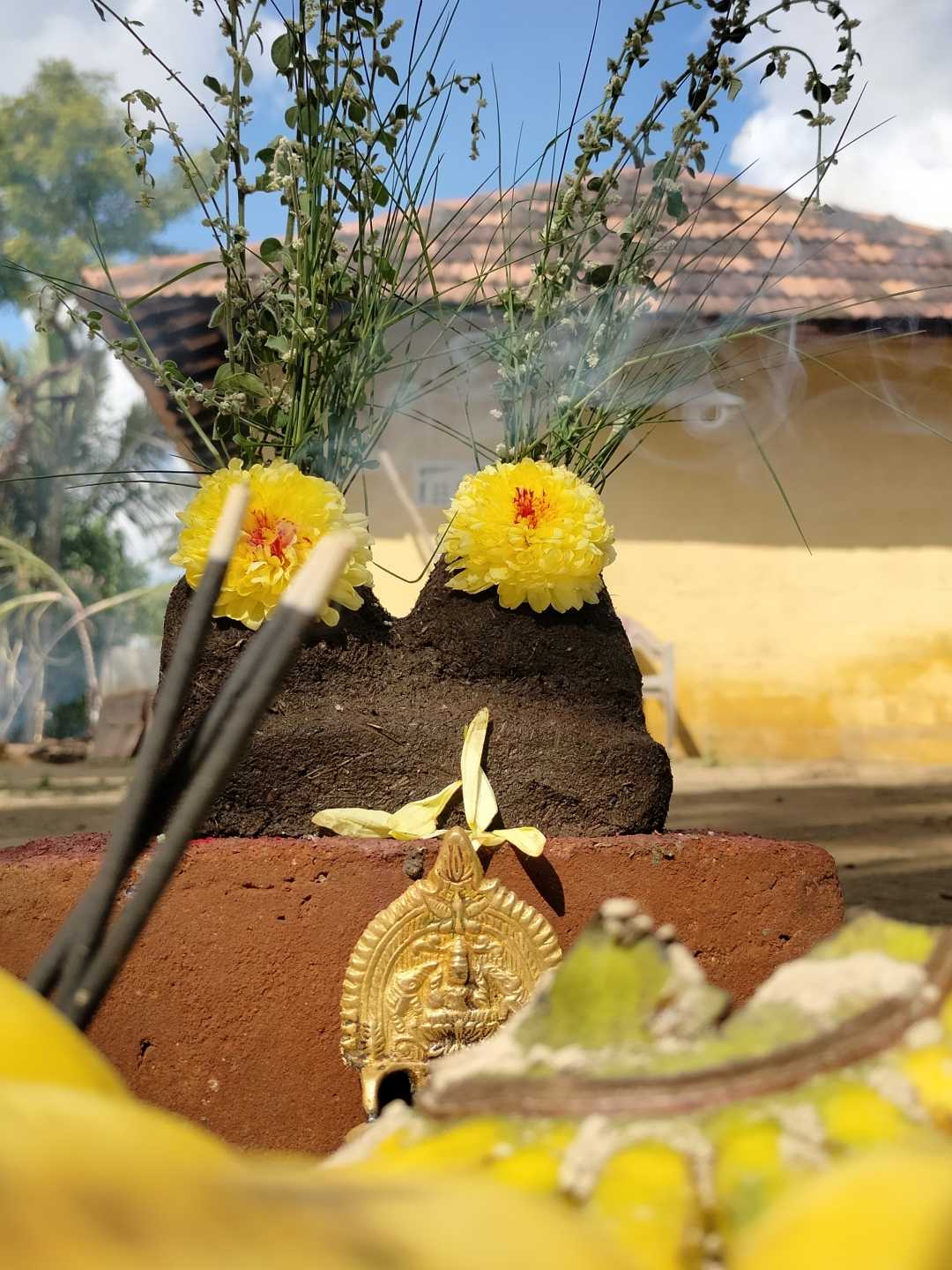 Pongal festival 