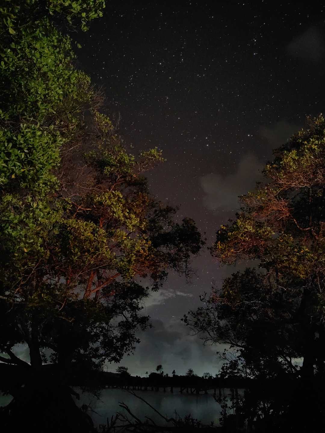 Menikmati Cahaya Malam