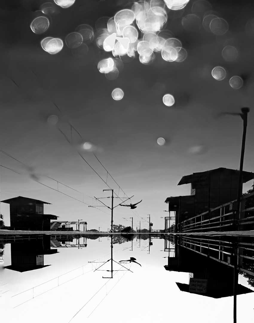 Reflection In Motion
