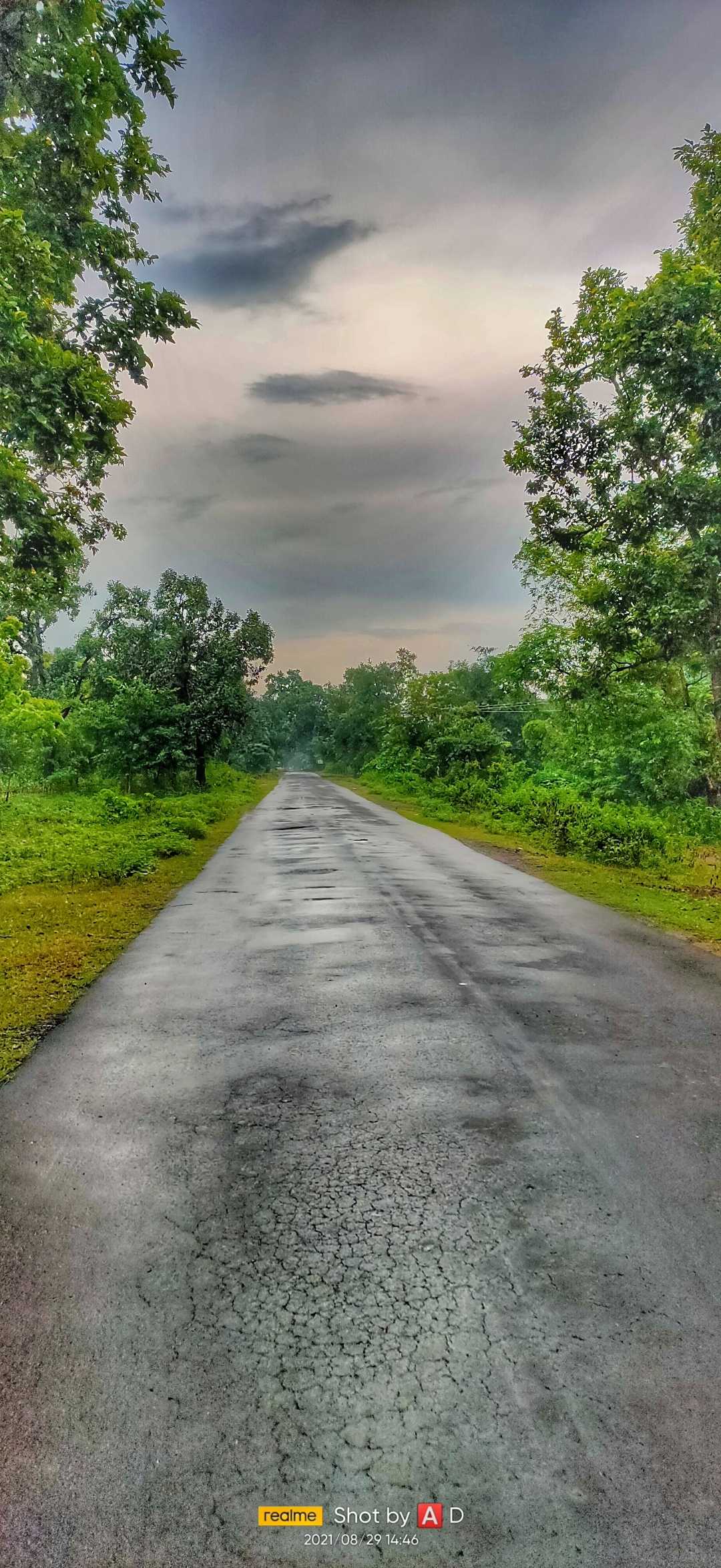 NATURE + ROAD +SUNSET 🌇