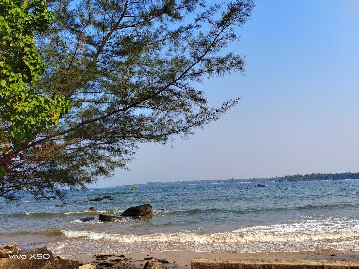 Serene view 