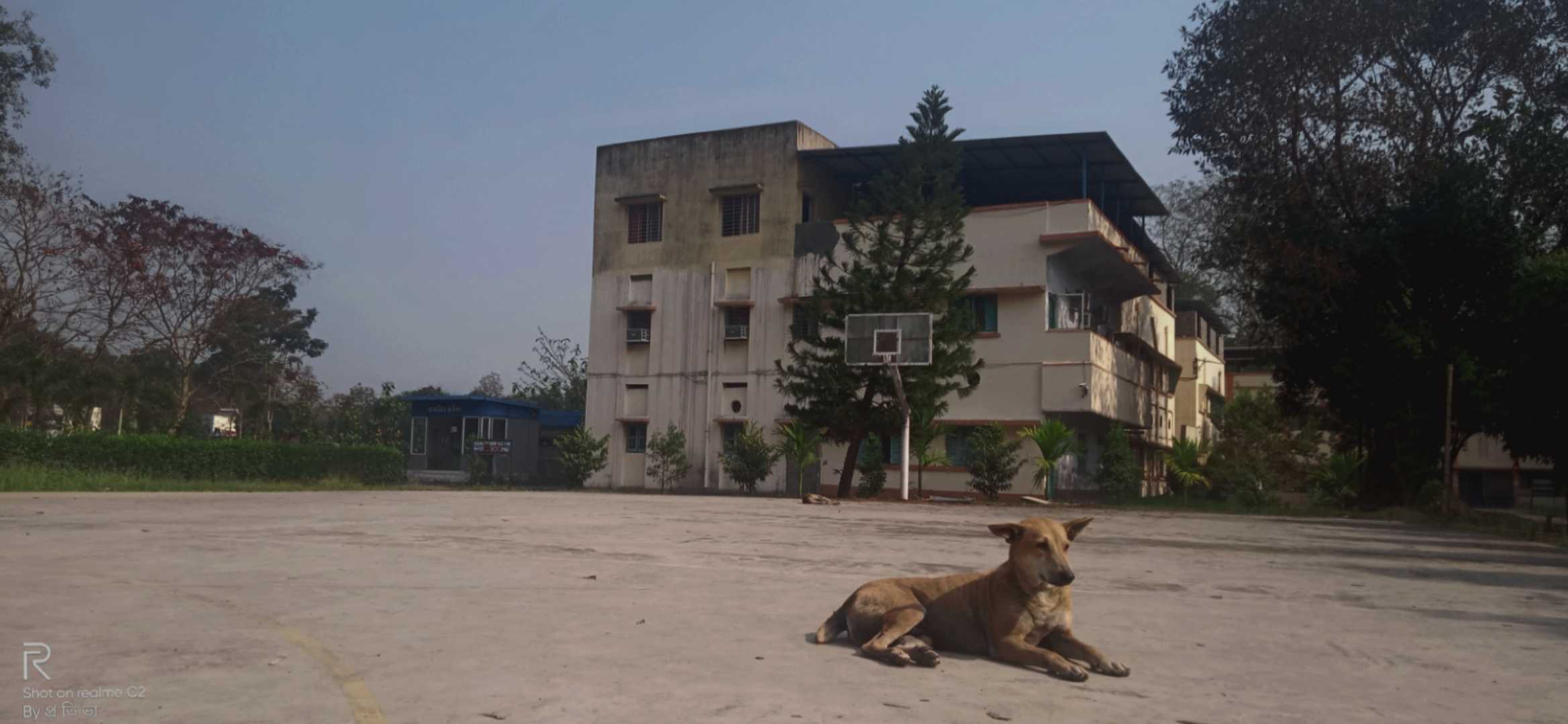 Bhuto and Campus...