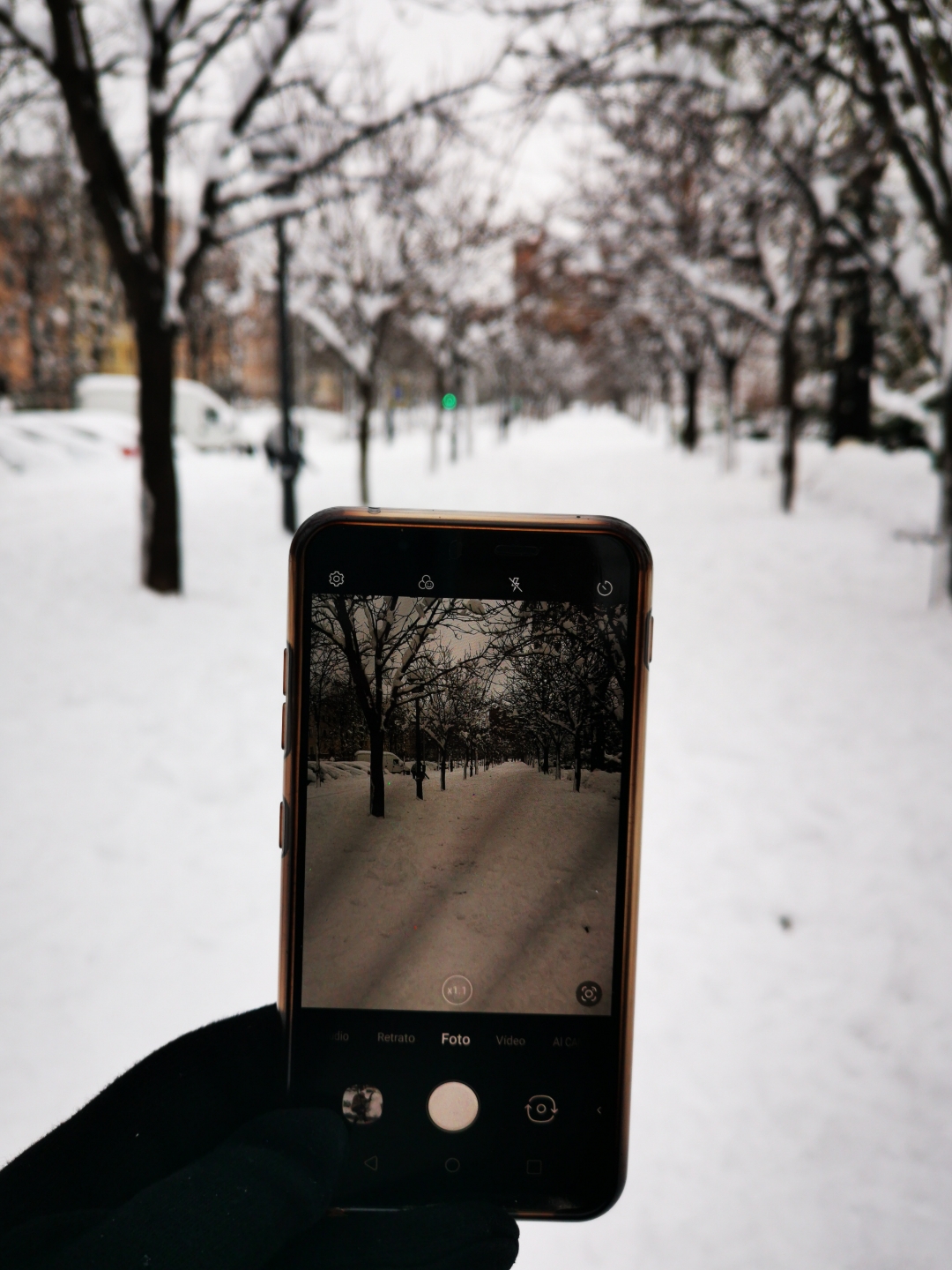 Madrid se viste de blanco!❄ 