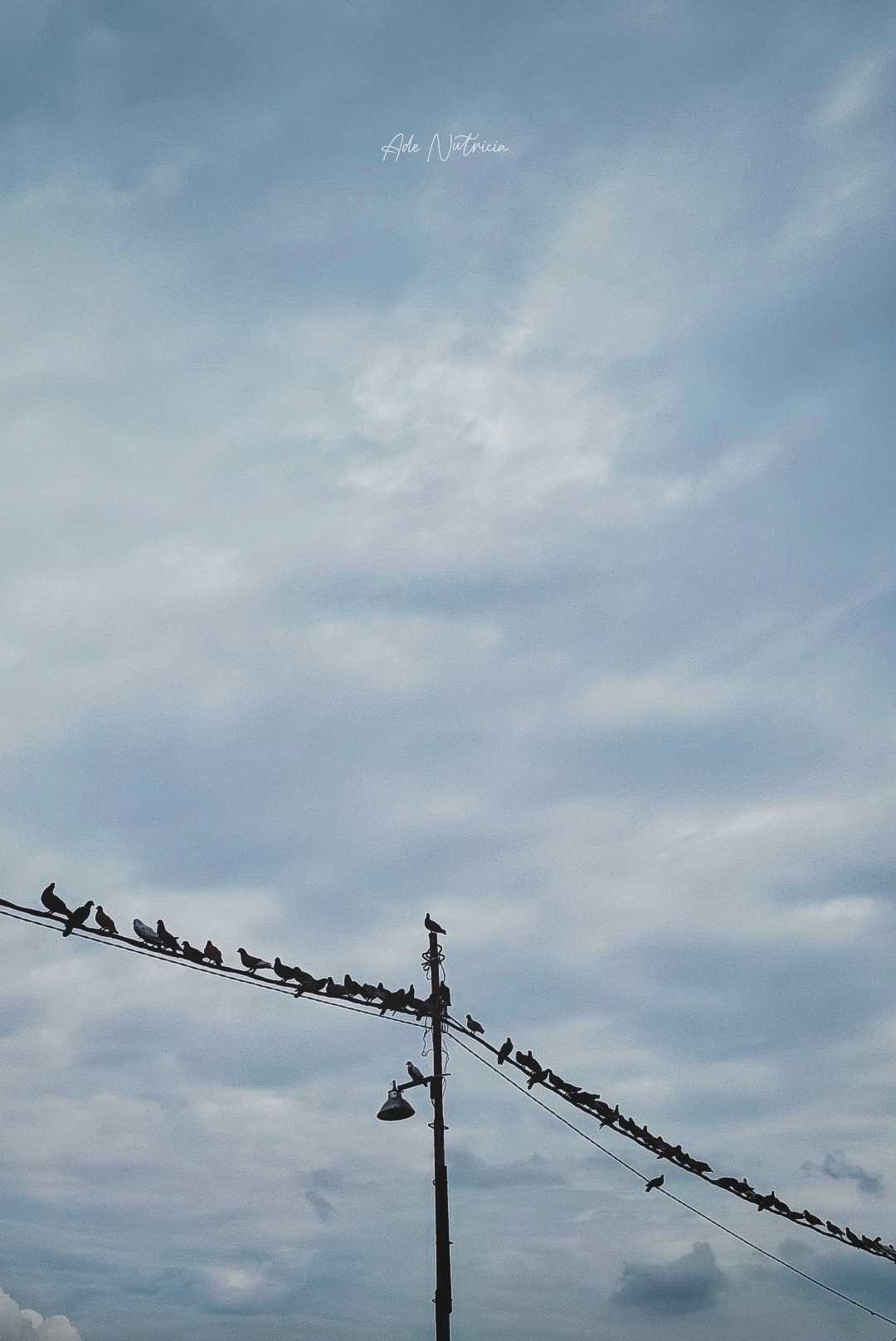 Negative Space