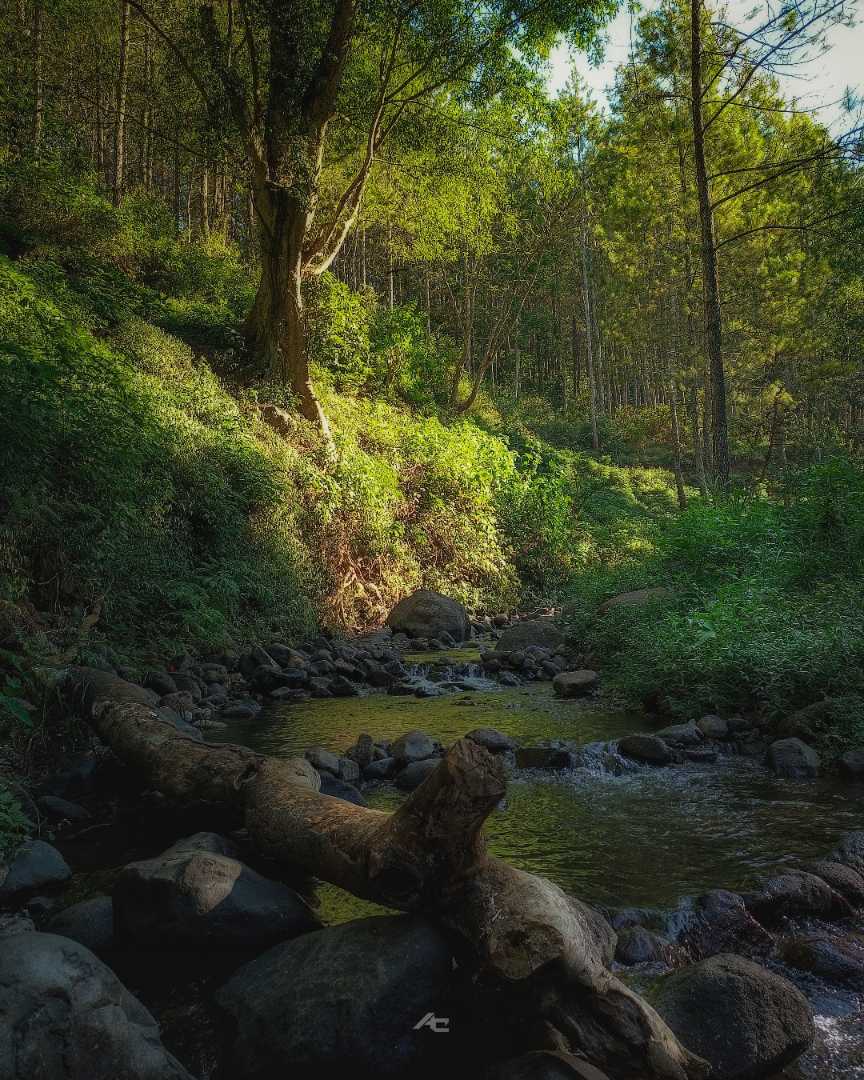River at Bedengan Camping Ground