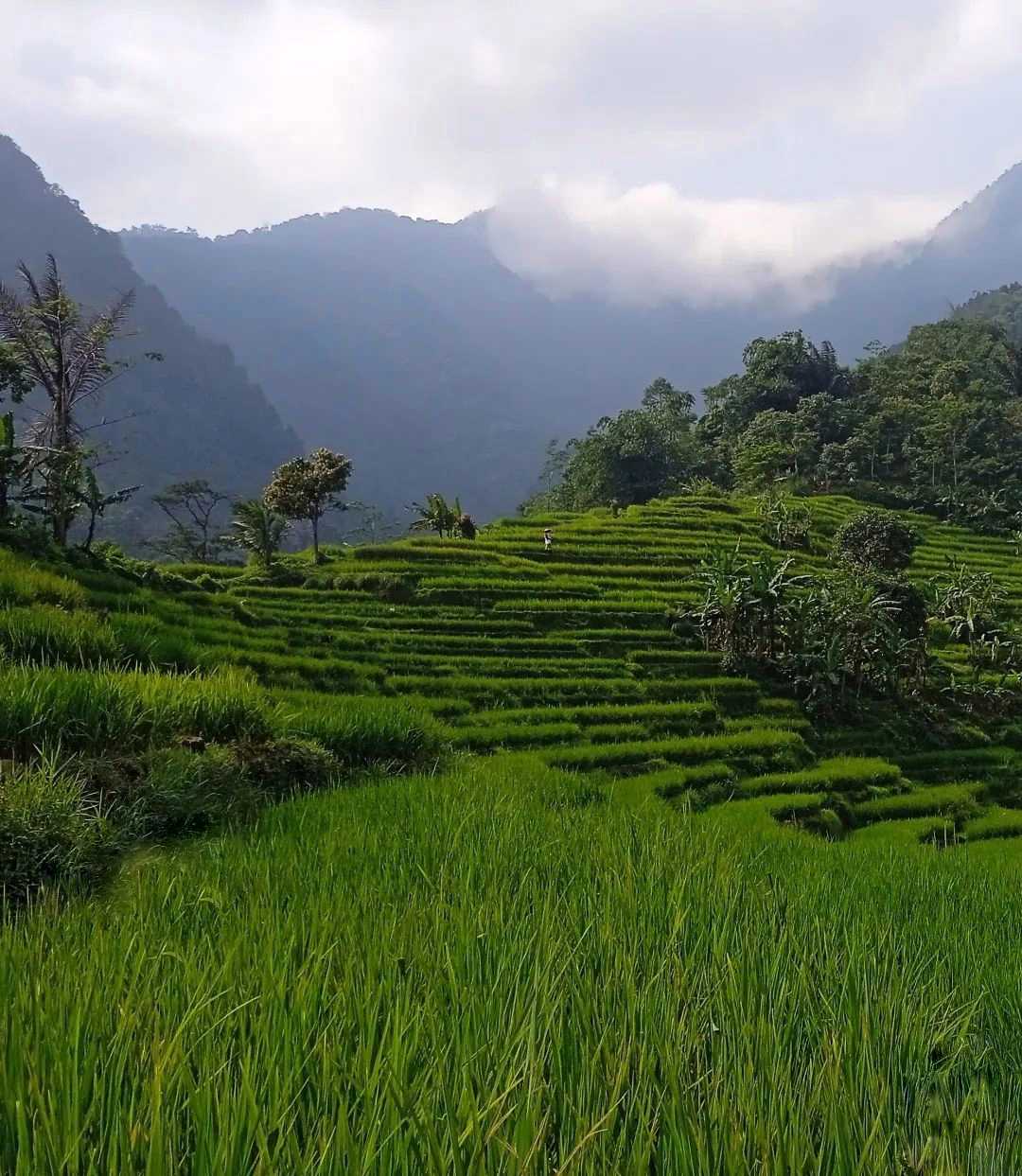 Gunung Menir