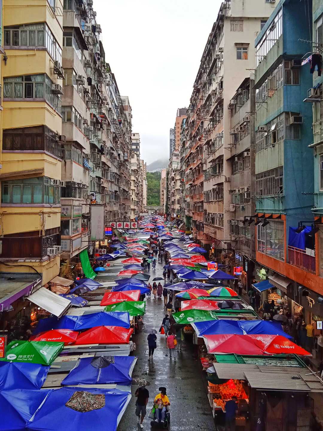 mong kok