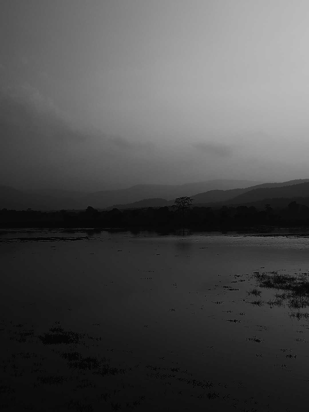 Scenery 🖤🤍