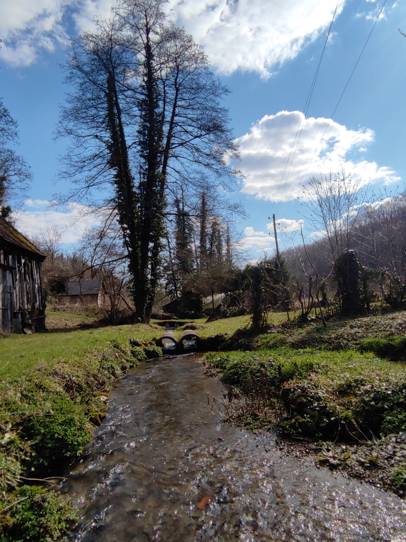 Country side
