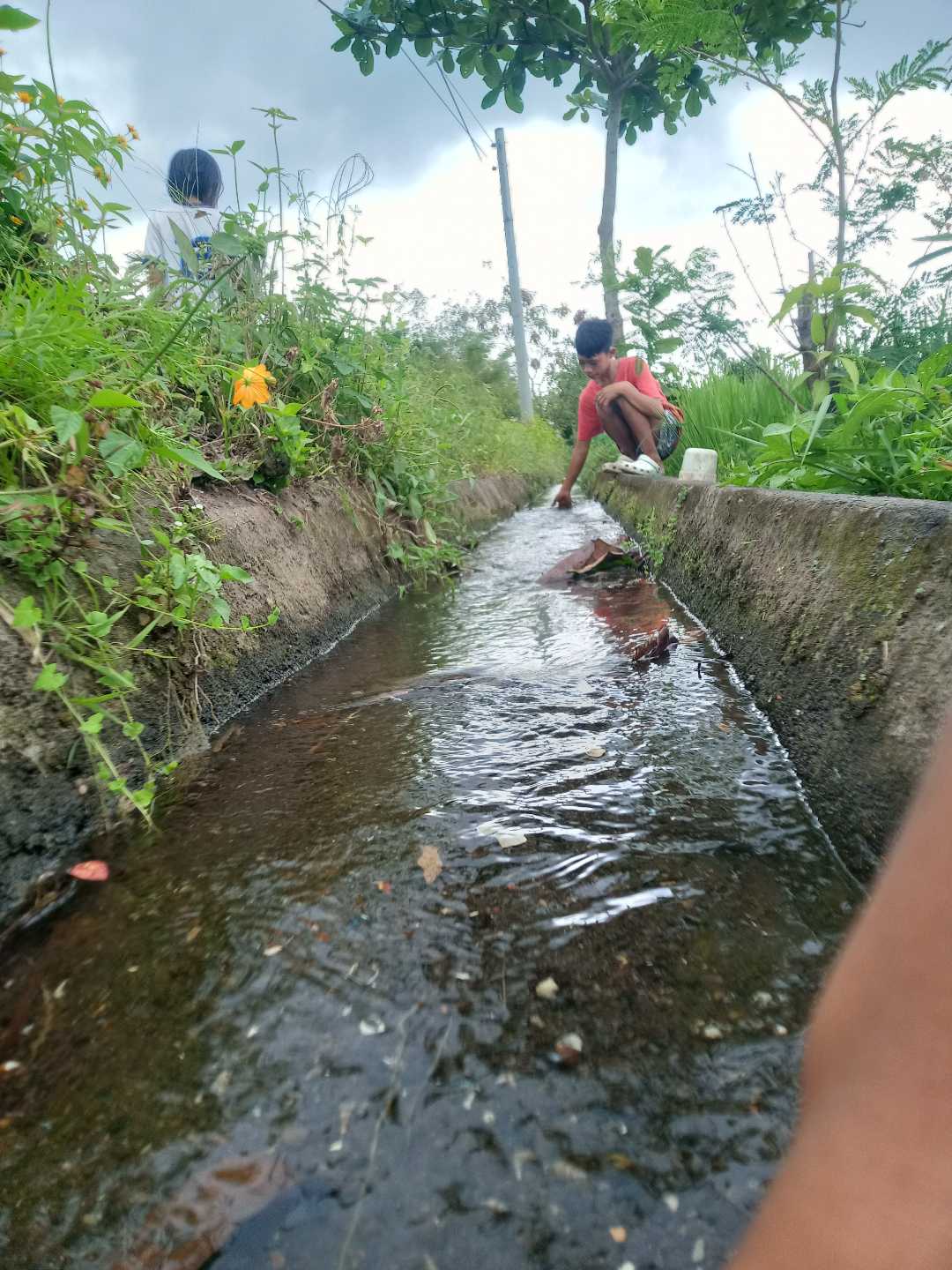 irrigation