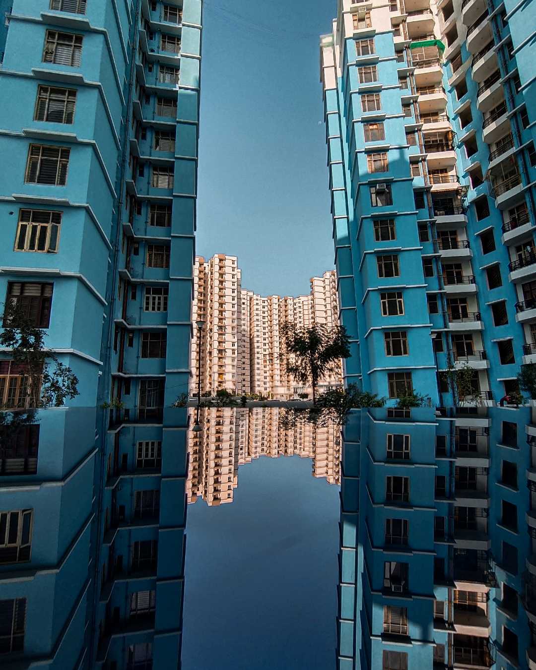 Reflection vibes 🤩