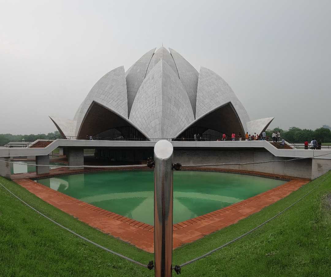 the magical Lotus 
