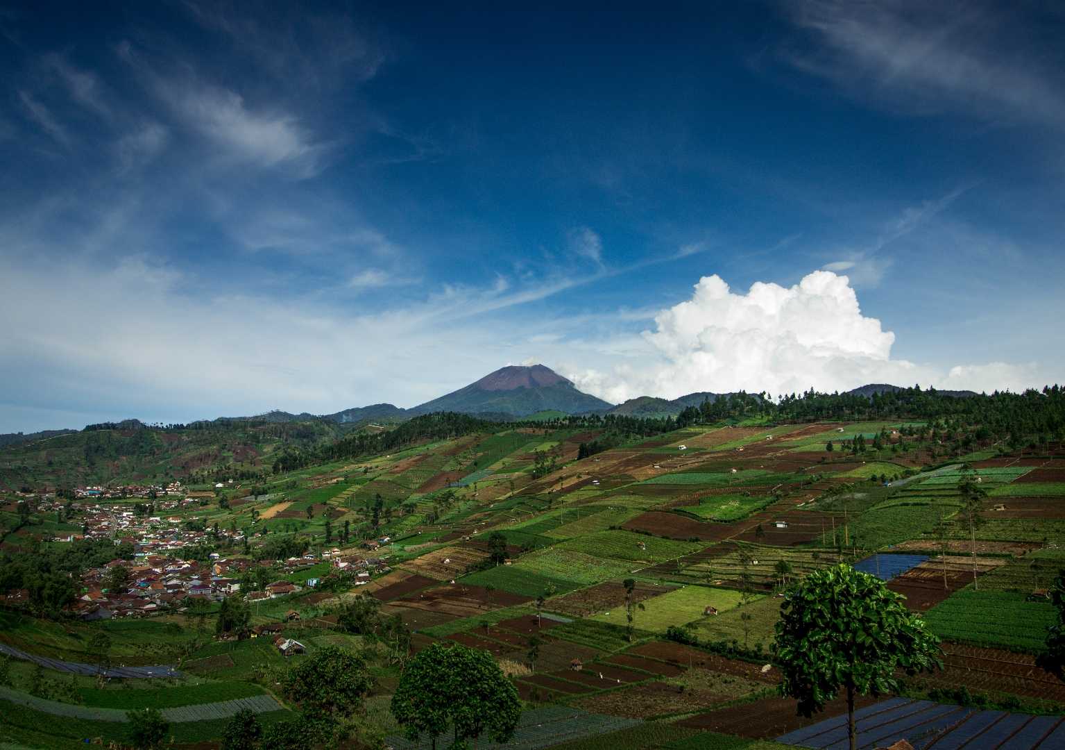 Menikmati Indahnya pemandangan Gunung Slamet