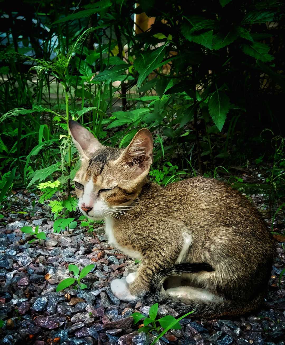 Cuteness 😉