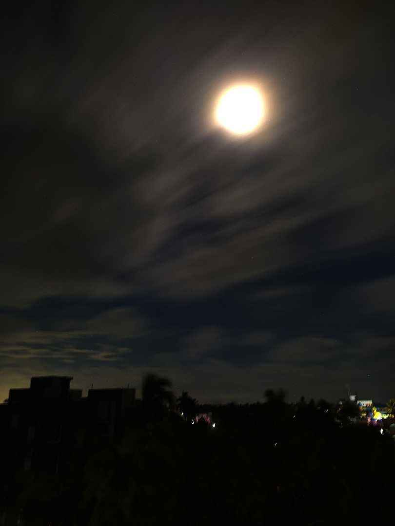 Nature in Night