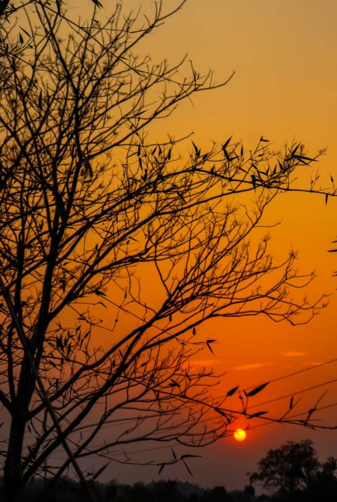 Good evening 🙏 