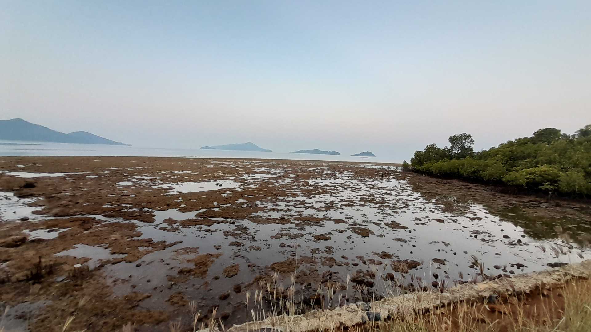 Pagi ini di Pulau ini.