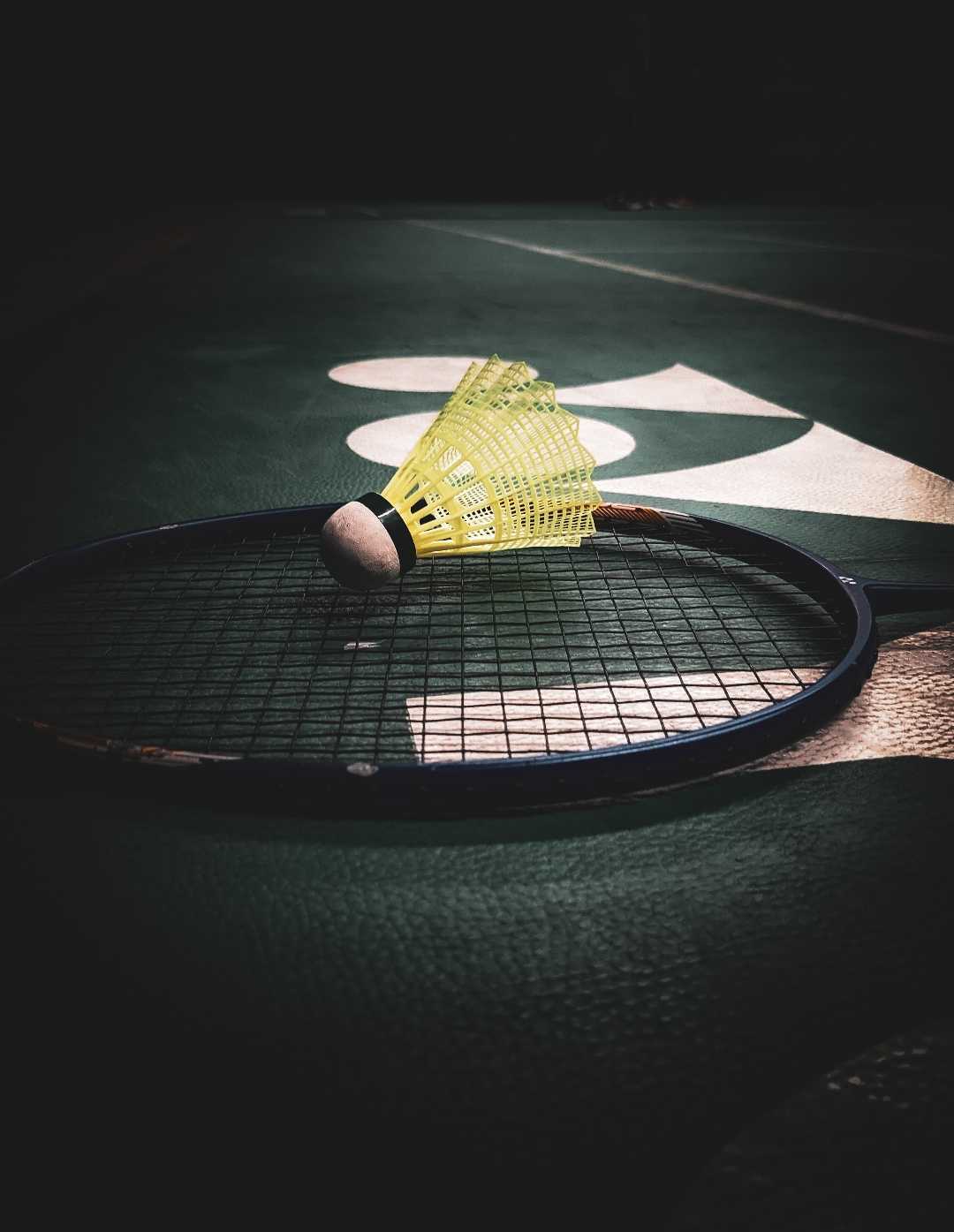 badminton 🏸