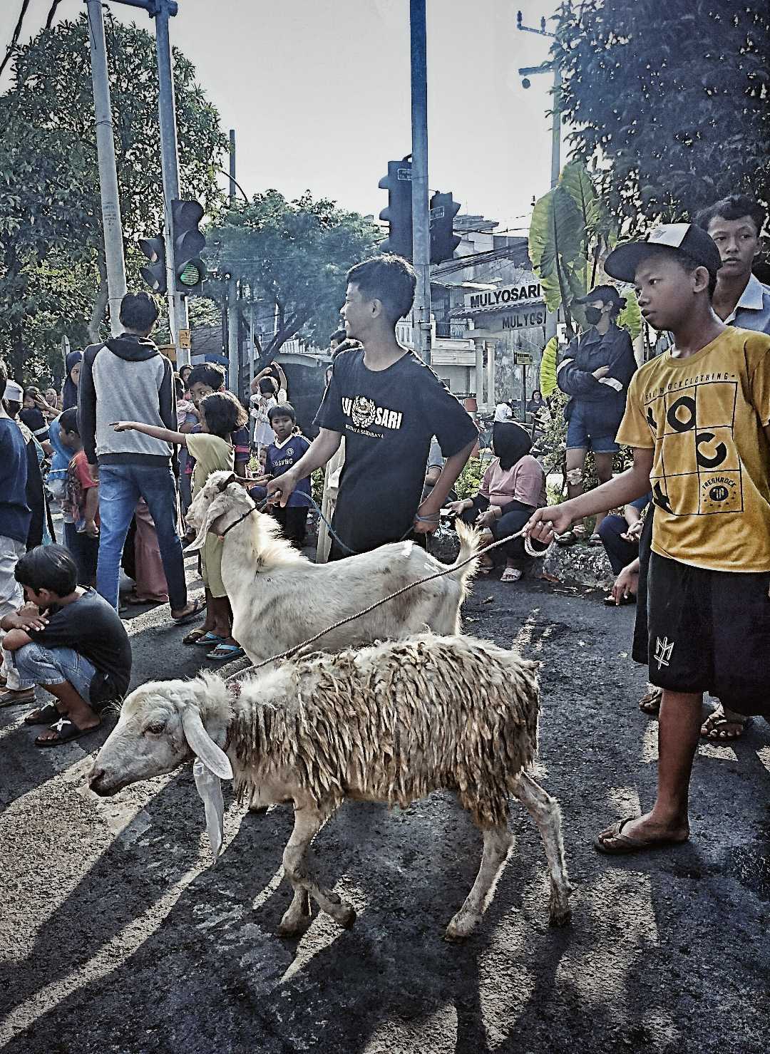 NUANSA IDUL ADHA