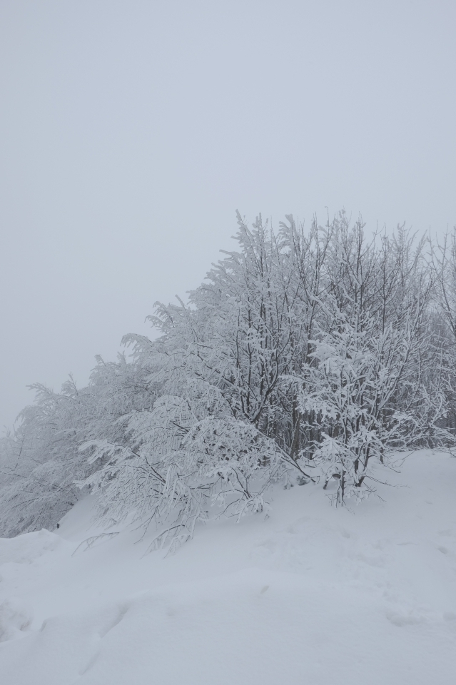 Kartepe, Kocaeli🎿