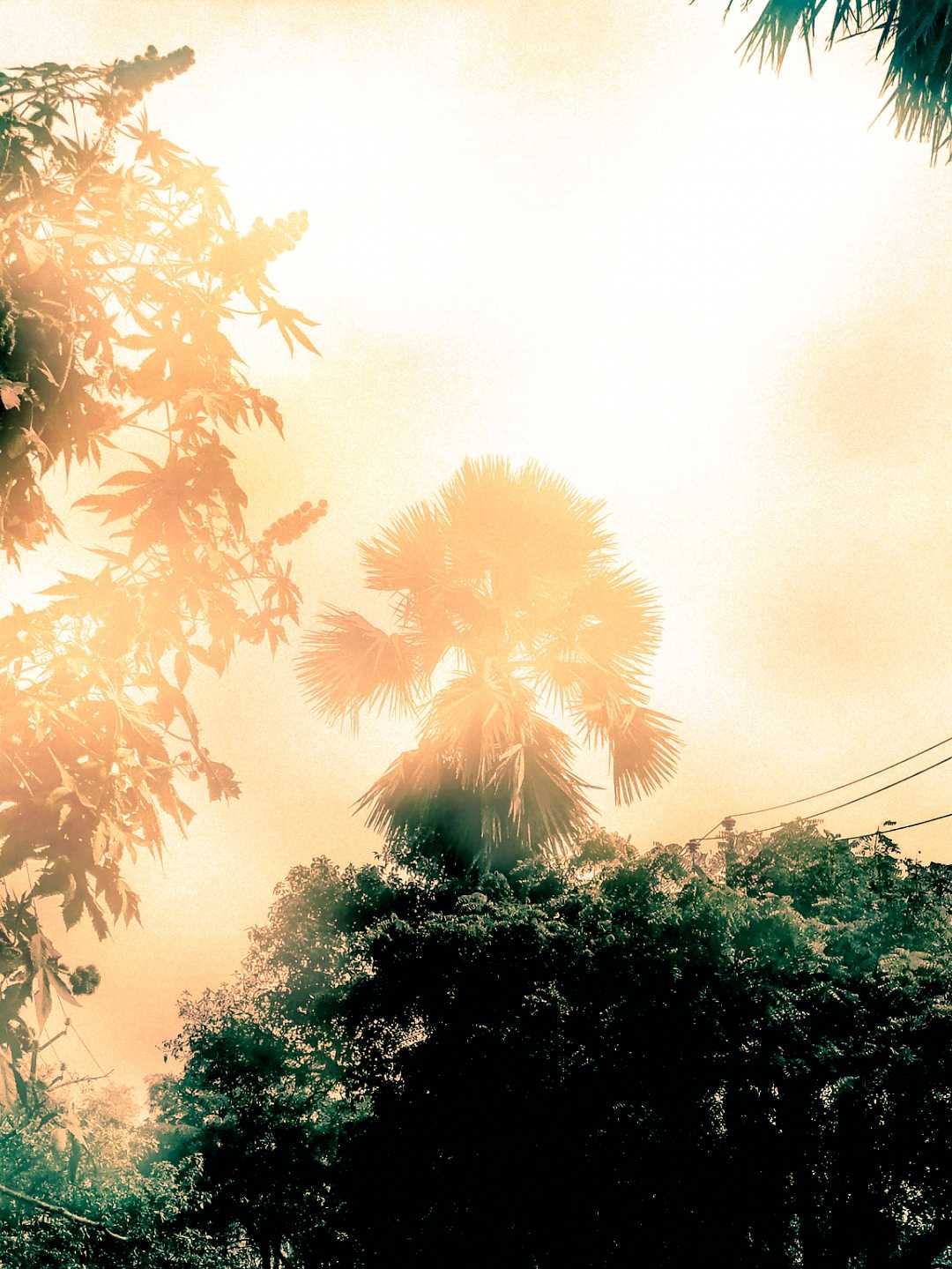 fog 